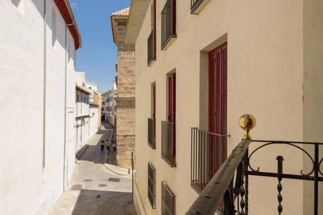 Apartamento En Pleno Centro, Wifi, Ideal Appartement Granada Buitenkant foto