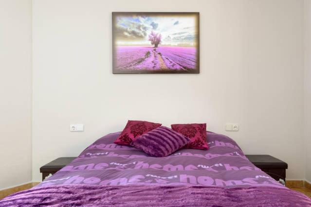 Apartamento En Pleno Centro, Wifi, Ideal Appartement Granada Buitenkant foto